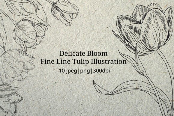 Download Delicate Bloom - Fine Line Illustration - Premium Bundle
